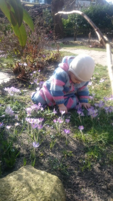 Kindertagespflege Susi Martin-Schneider