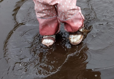 Kindertagespflege Ramona Drabe